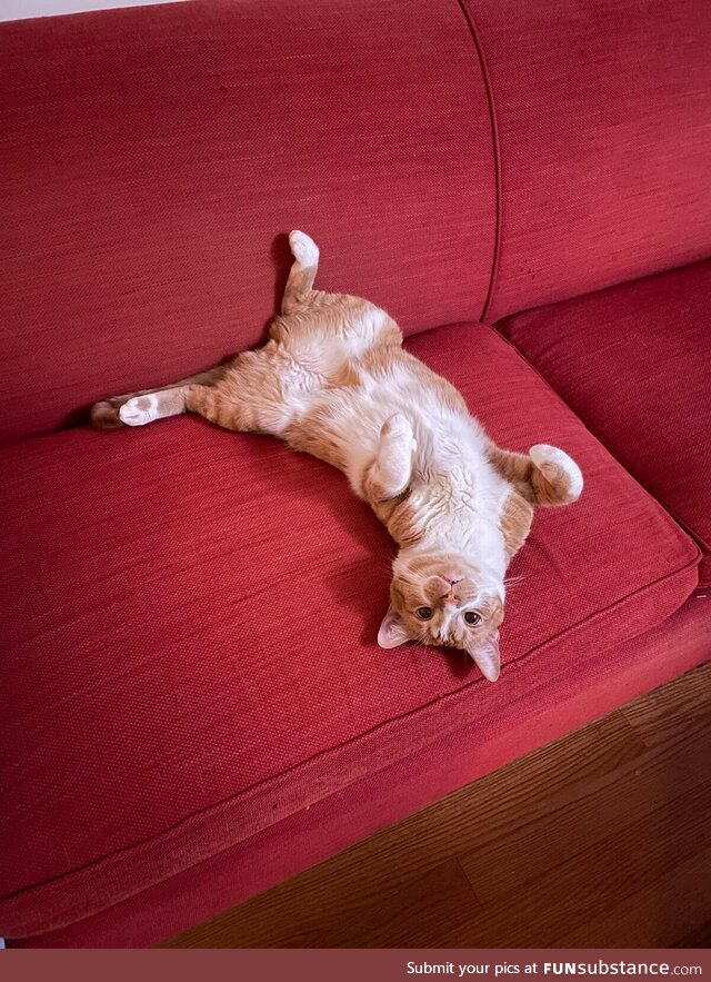 Winston