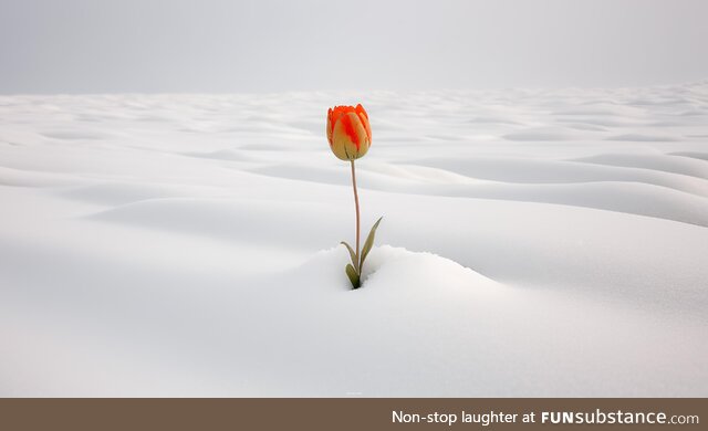 Whats the funny thing today