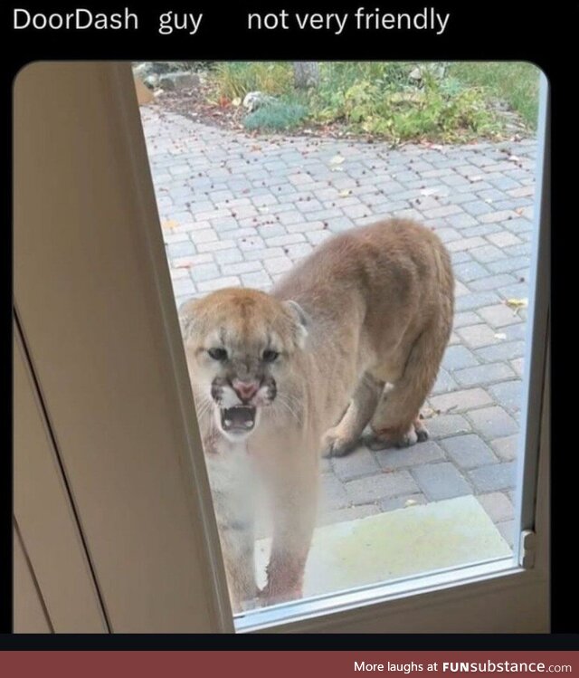 Ensconced comely pessimistic