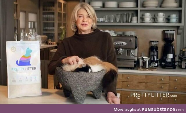 Why is Martha Stewart’s cat sitting in a giant guacamole bowl in this commercial?