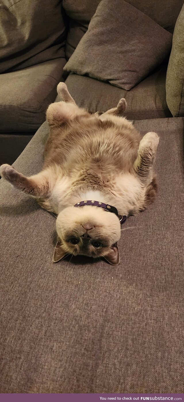 Big chillin
