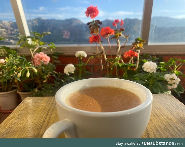 Morning Tea in the Himalayas
