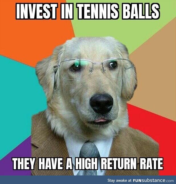 Business Dog comes back!
