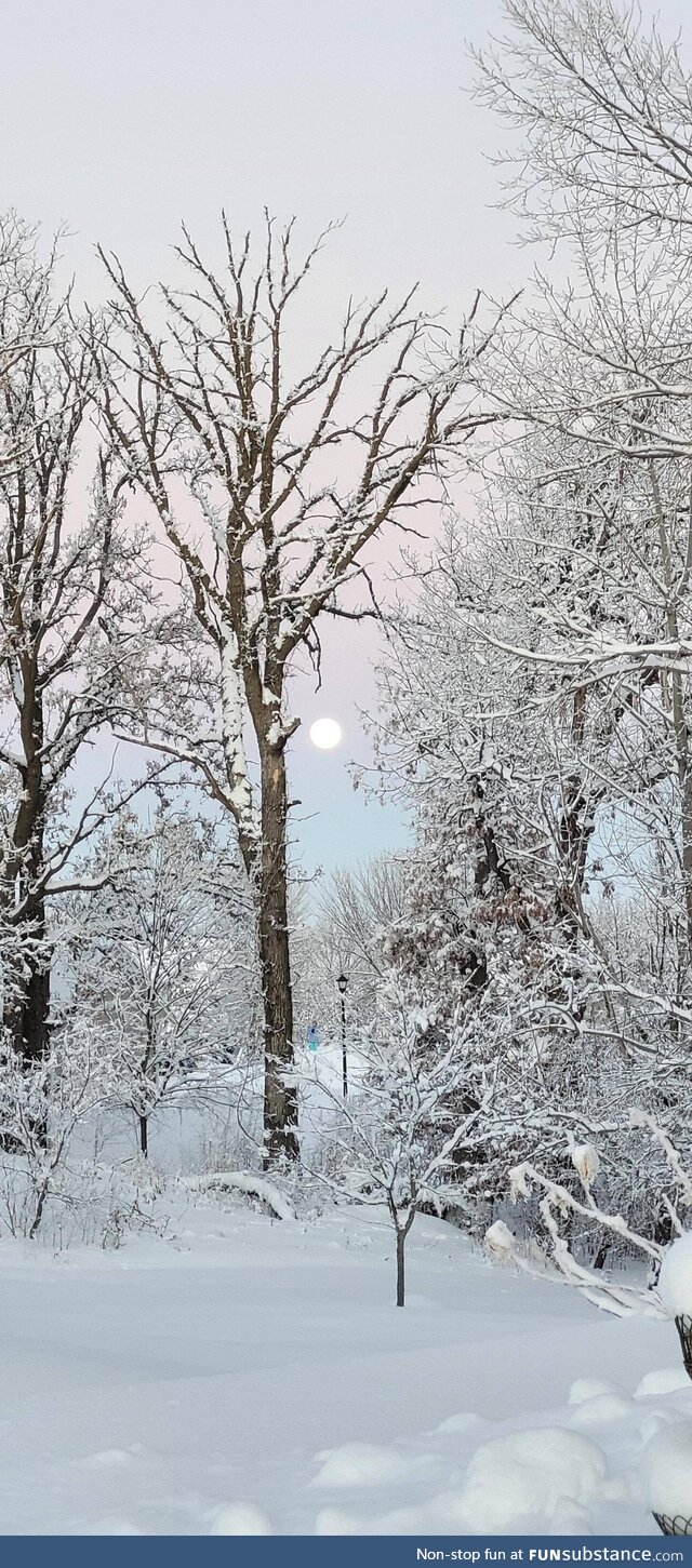 Full moon rising yesterday afternoon