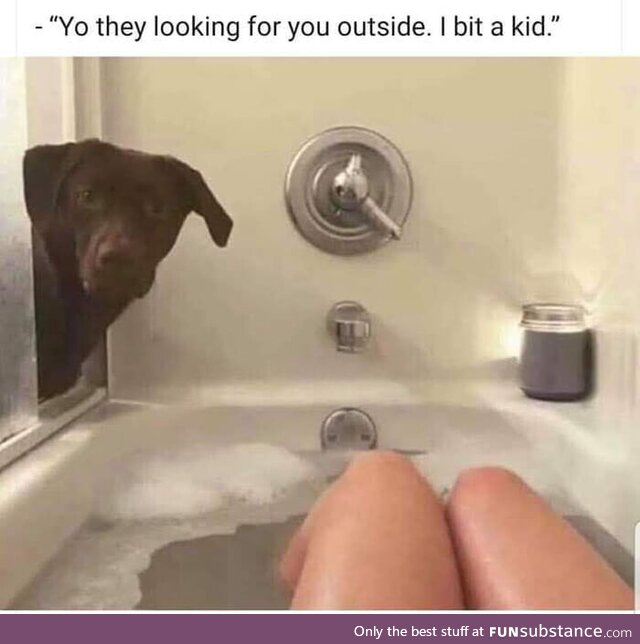Just dog things