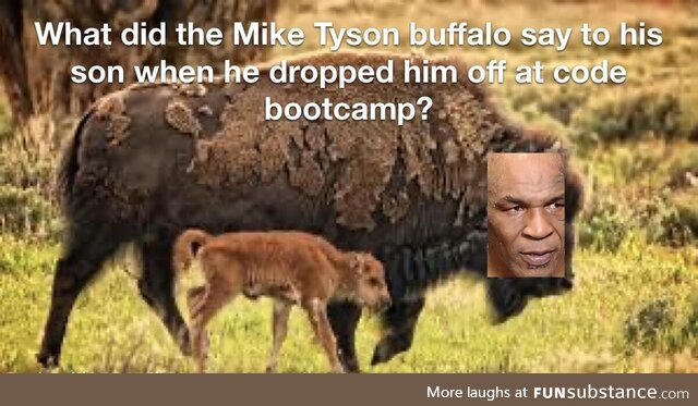 iFoundAPythonExtensionThatAllowsMeToUseCurlyBracesInsteadOfIndentationGuessWhatItIsCalled