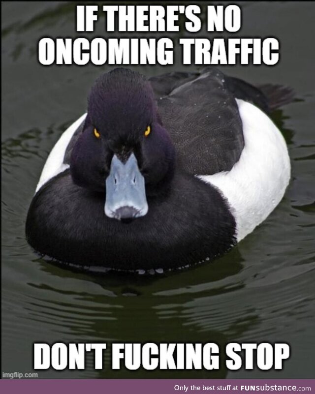 A yield sign is not a f*cking stop sign