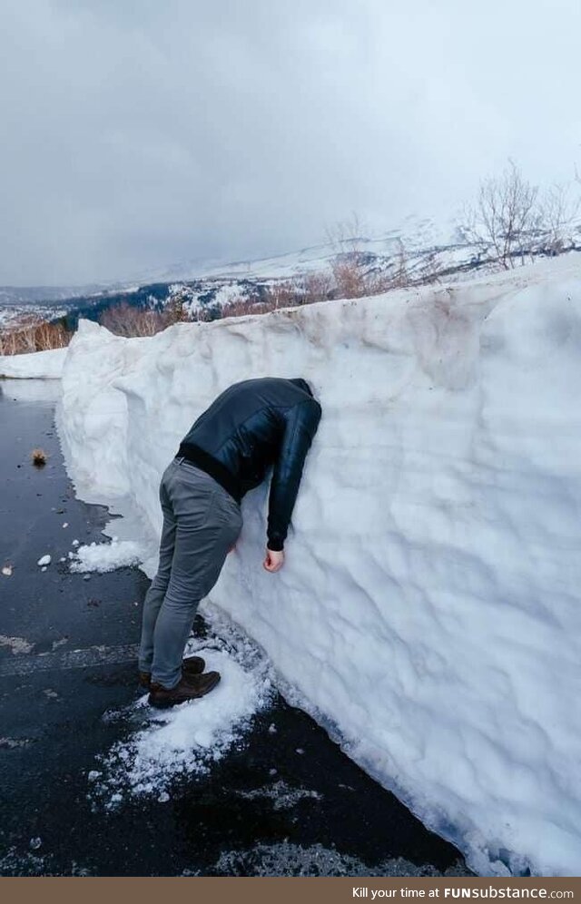 Don't worry... Spring's coming