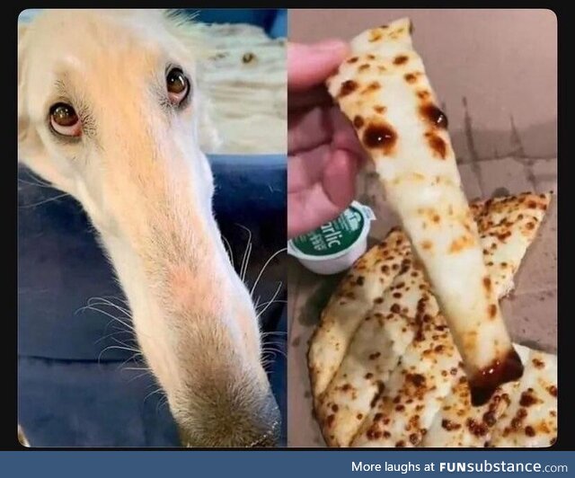 Pizza, but at what cost?