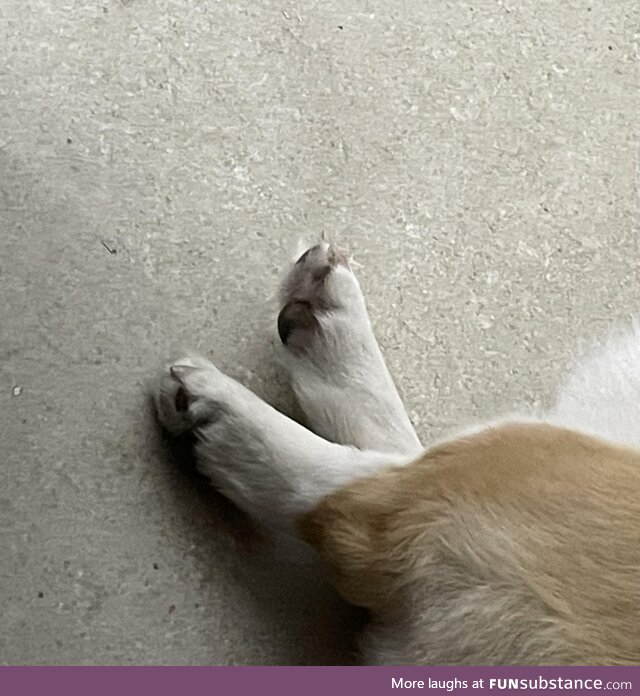 Super mini Erlang legs