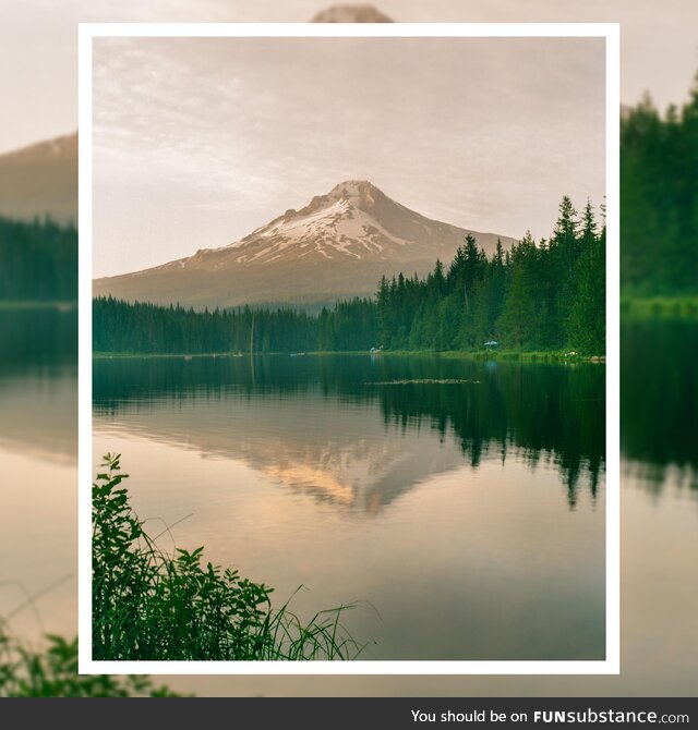 [OC] Mt. Hood from Trillium Lake