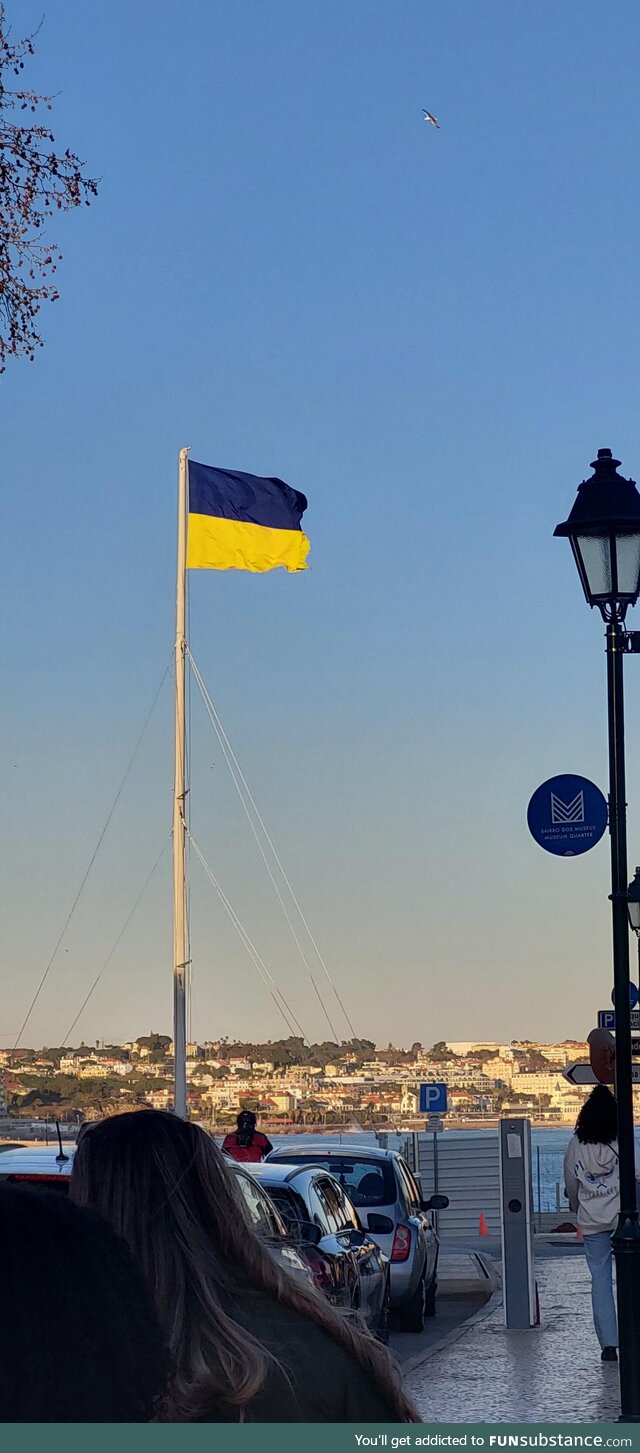 [OC] Ukraine flag waving in Cascais, Lisbon - Portugal