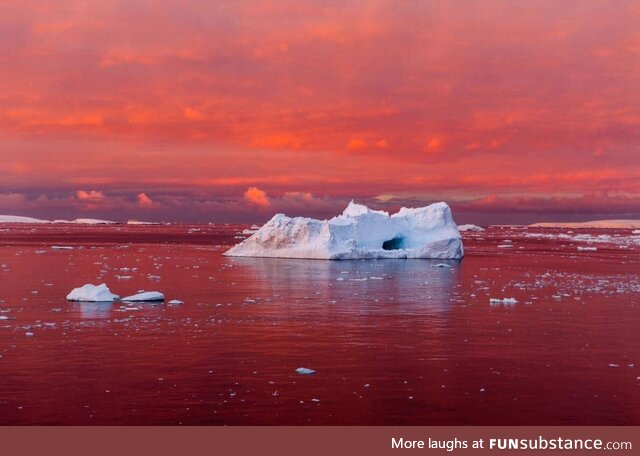 Iceberg in blood red sea, Lemaire channel, Antarctica
