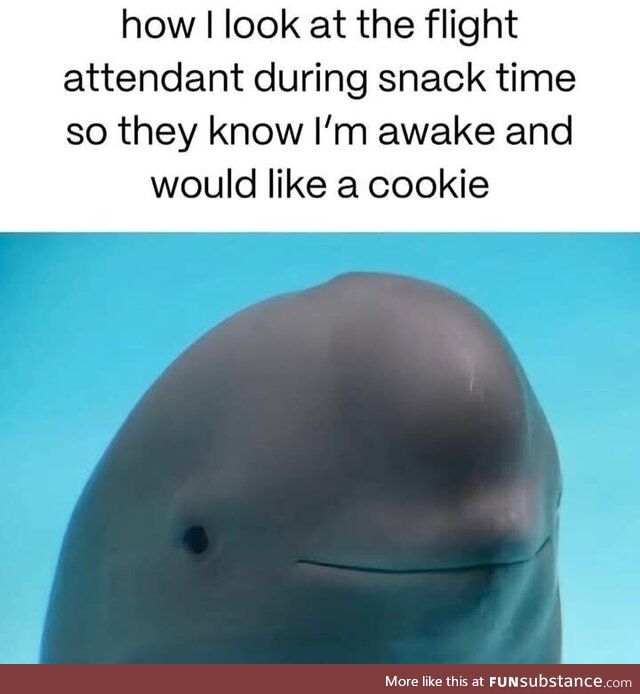 Hateful abandoned crooked