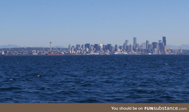 The view of Seattle from our whale watching trip