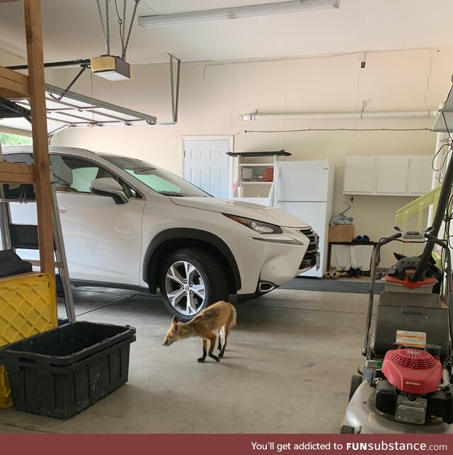 Ma's selling her car ... This sly guy stopped by to check it out