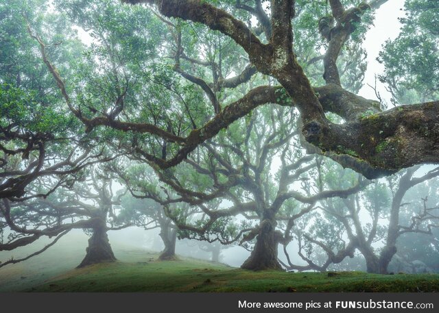 Madeira island, portugal