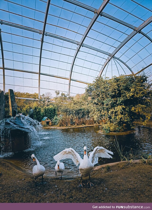 Bird park
