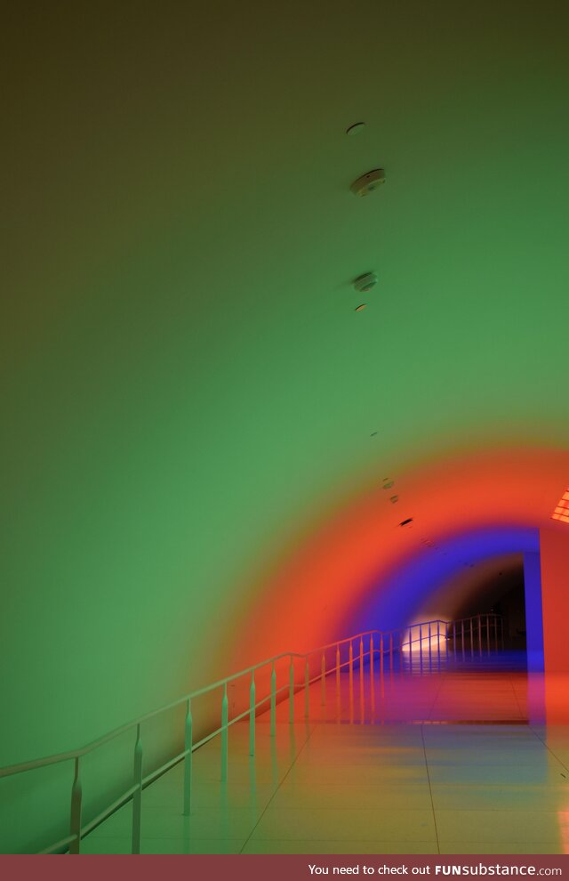 Fine art museum, houston [oc]