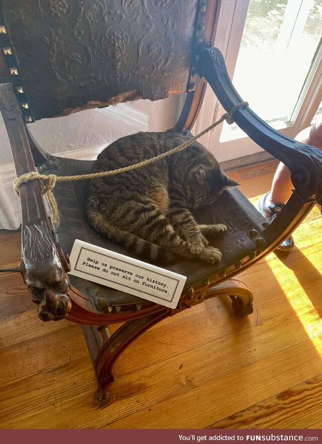 At the Hemingway Home in Key West ‘only the cats are allowed to ruin the history’