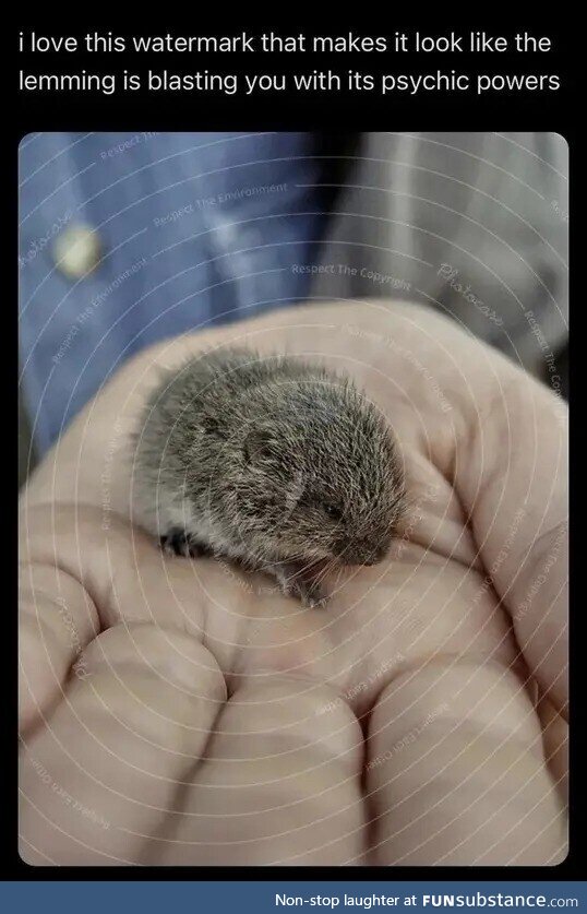 Pillaged insane ablaze