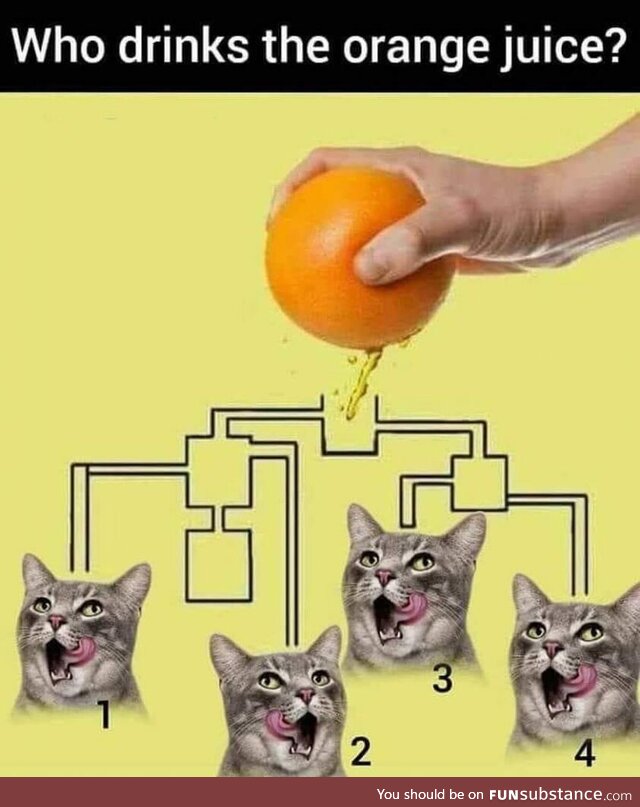 Cognitive checkpoint