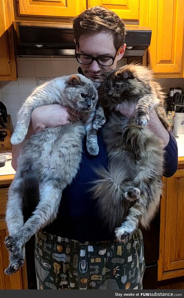 [OC] caught the sister of the Lorax