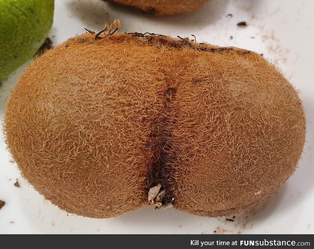 For some reason nobody in the office wants this kiwi fruit