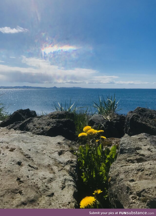 [OC] Iceland was nice today
