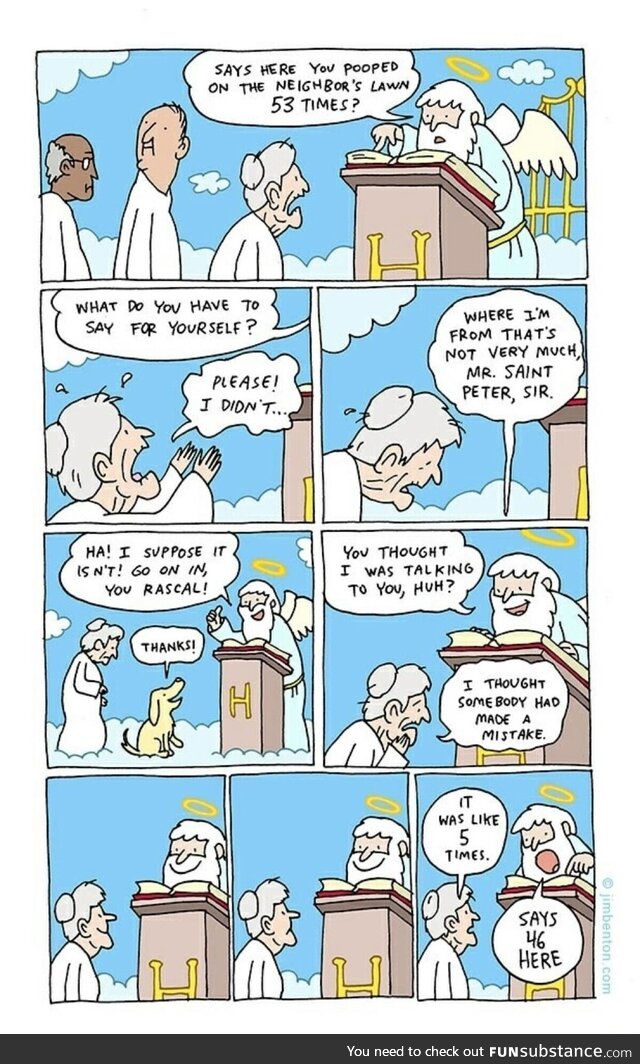 Zonked festive feminine