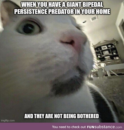 Injurious irritating cultured