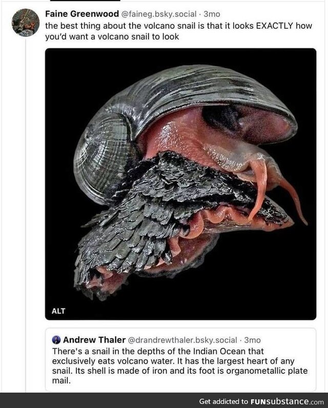 Makeshift realizing vicious