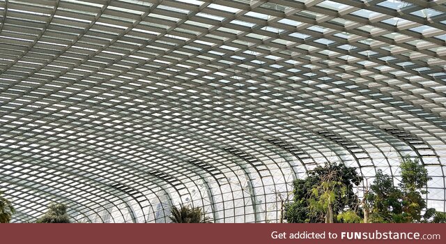 [oc] inside the flower dome, singapore