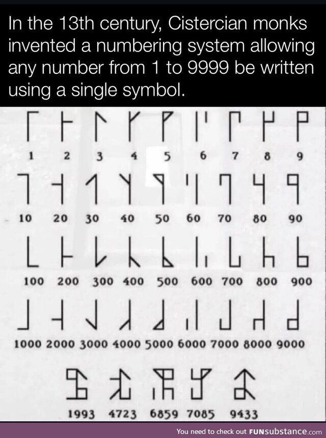 Successful plumb canine