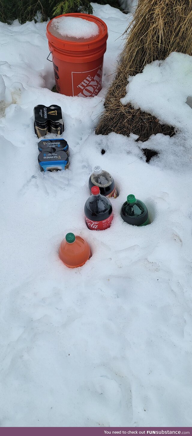 Ran out of room in the fridge