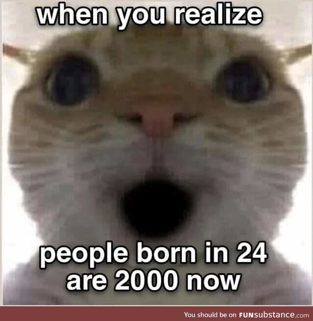 Evergreen regular crisp