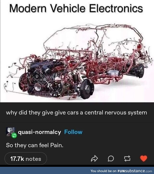 Plain glamorous happy-go-lucky