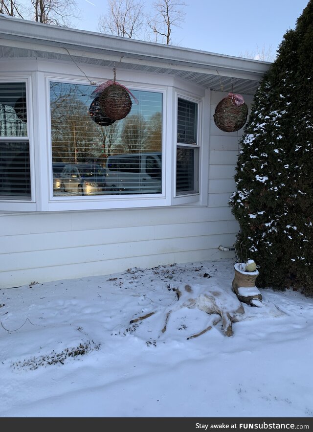 Didn’t notice until after the family came over for Christmas…