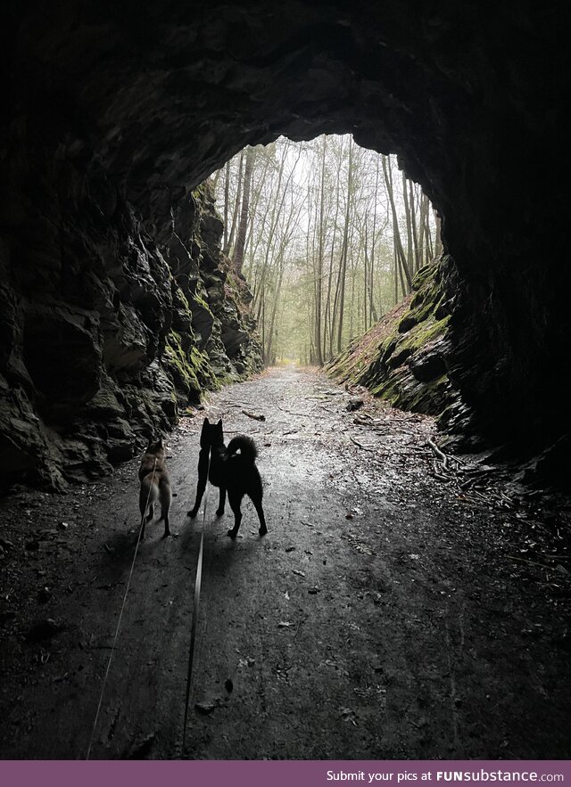 Passing through an abandoned train tunnel