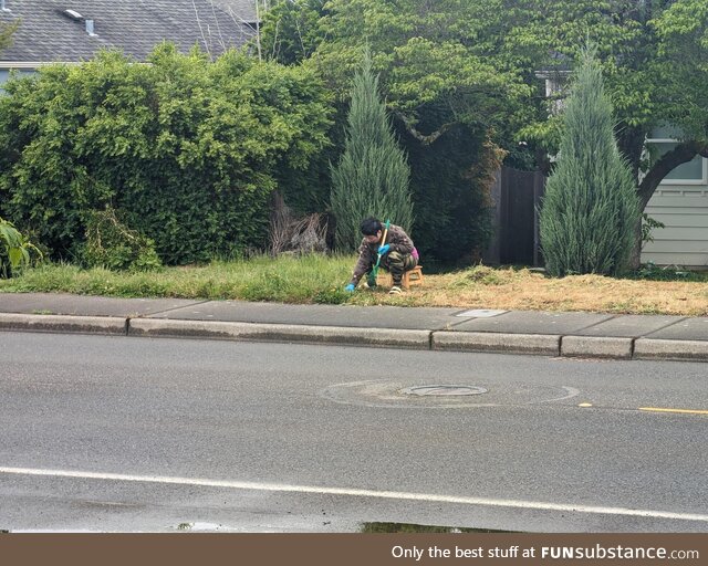 Neighbor spent the weekend trimming the grass with scissors