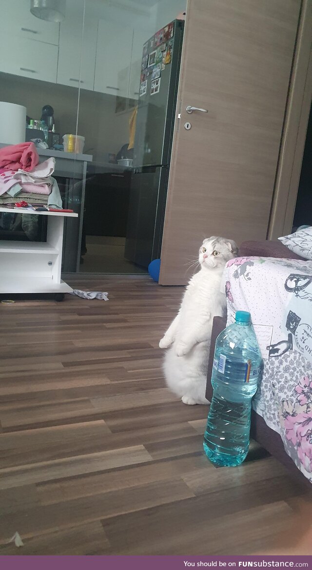 Tf are they doin' over there