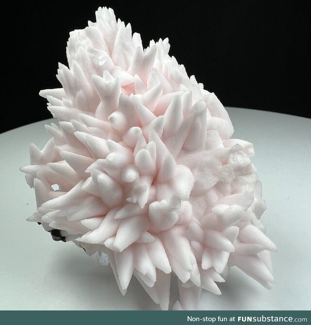 Shaving cream or a rock