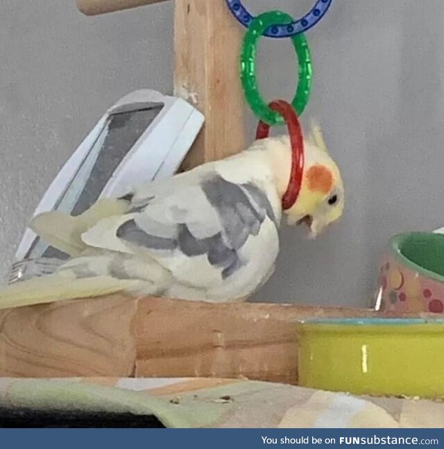 Unforgivable protracted smouldering