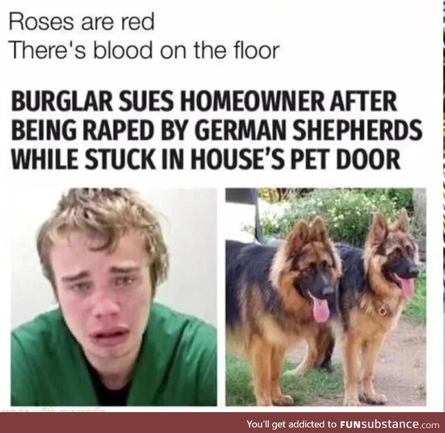 Vagabond tacky fascinated