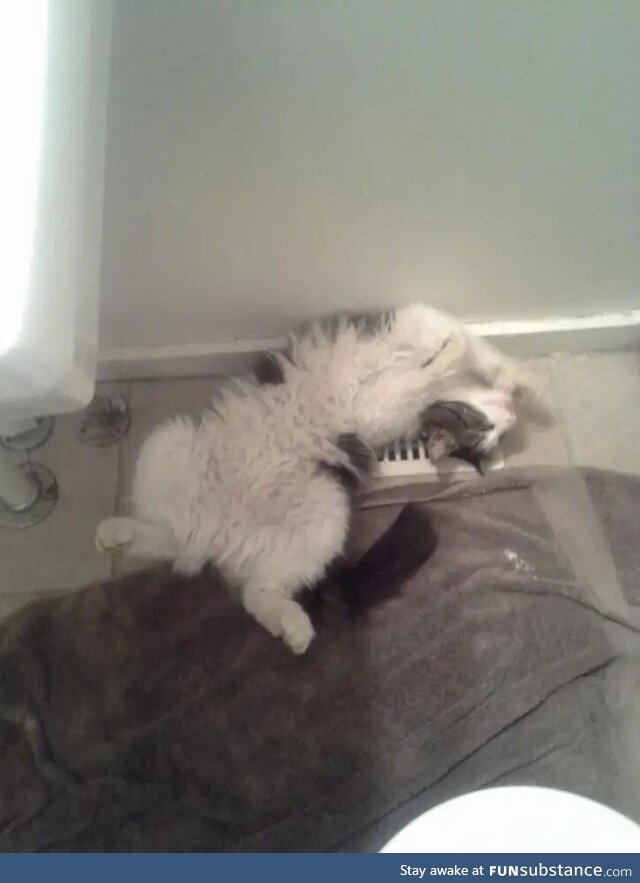 Cold Kitty? Problem solved