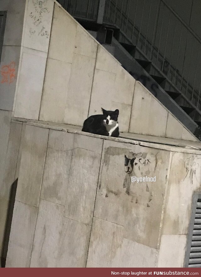 I left work and saw this. Made my day