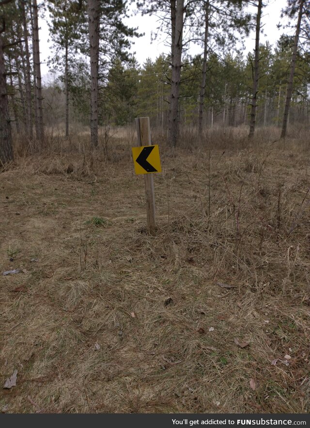 Our 4 1/2 year old grandson pointed to this on our hike and said "look a Plex sign"