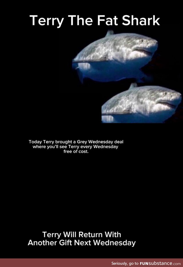 2 Terrys for the Price of 1