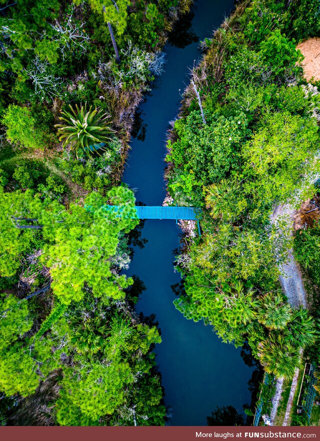 Found this bridge in my neighborhood with my drone