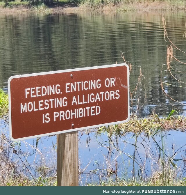 Florida Man is getting braver everyday.